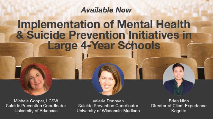 Implementation of Mental Health and Suicide Prevention Initiatives in Large 4-Year Schools